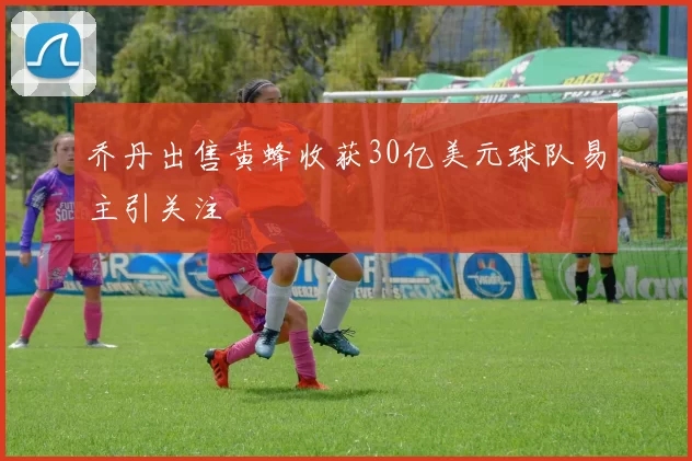 乔丹出售黄蜂收获30亿美元球队易主引关注