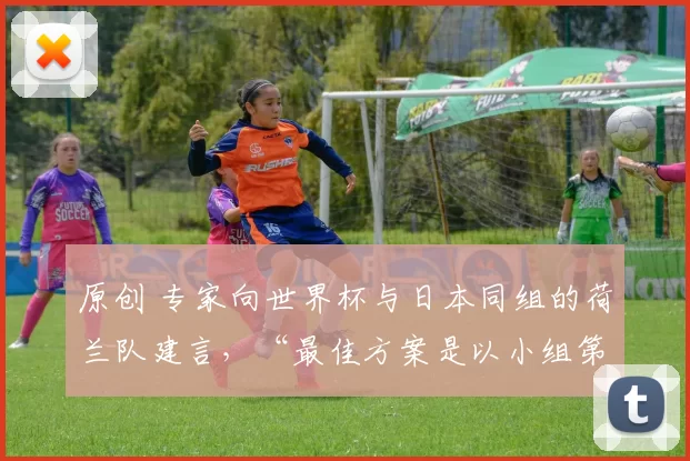 原创 专家向世界杯与日本同组的荷兰队建言，“最佳方案是以小组第三出线”