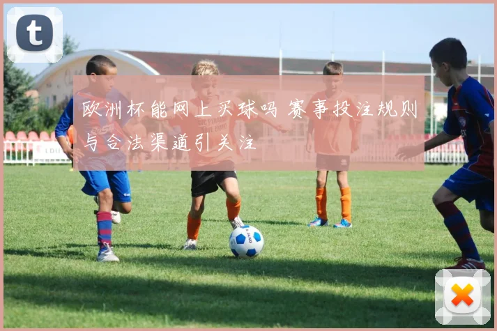 欧洲杯能网上买球吗 赛事投注规则与合法渠道引关注