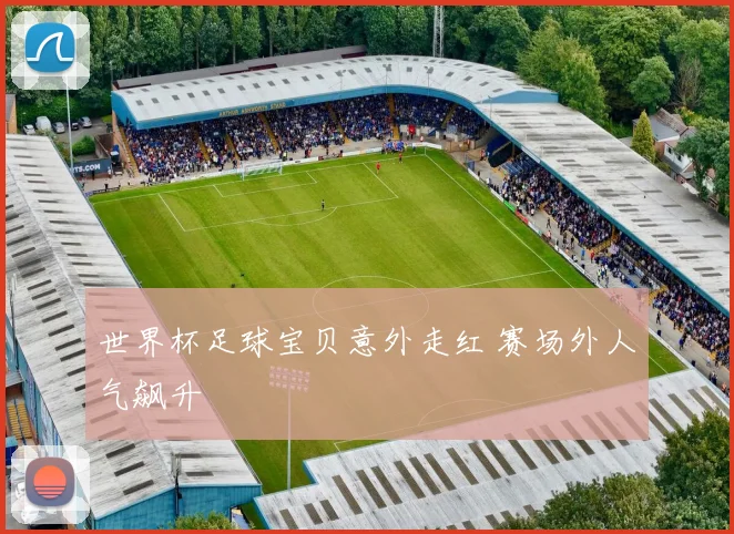 世界杯足球宝贝意外走红 赛场外人气飙升